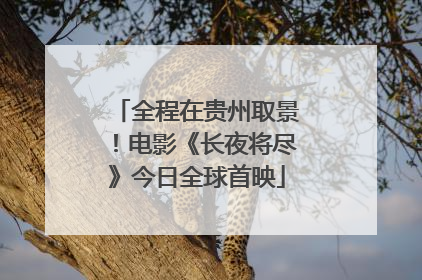 全程在贵州取景！电影《长夜将尽》今日全球首映