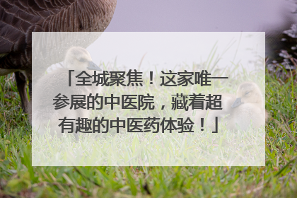 全城聚焦！这家唯一参展的中医院，藏着超有趣的中医药体验！