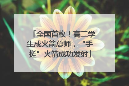 全国首枚！高二学生成火箭总师，“手搓”火箭成功发射
