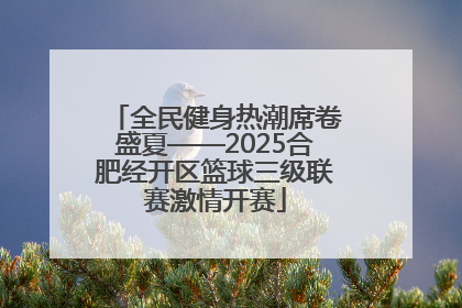 全民健身热潮席卷盛夏——2025合肥经开区篮球三级联赛激情开赛