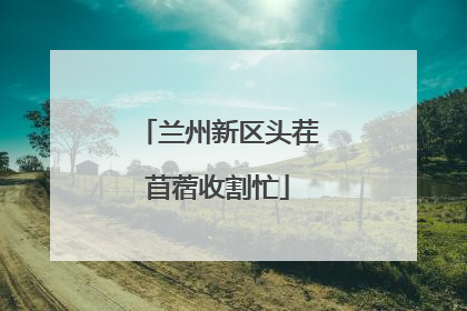 兰州新区头茬苜蓿收割忙