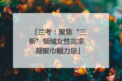 兰考：聚焦“三新”领域女性需求 凝聚巾帼力量