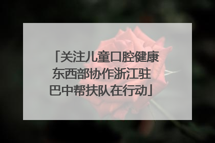 关注儿童口腔健康 东西部协作浙江驻巴中帮扶队在行动