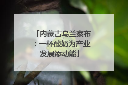 内蒙古乌兰察布：一杯酸奶为产业发展添动能
