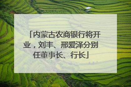 内蒙古农商银行将开业，刘丰、邢爱泽分别任董事长、行长