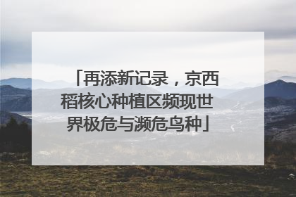 再添新记录，京西稻核心种植区频现世界极危与濒危鸟种