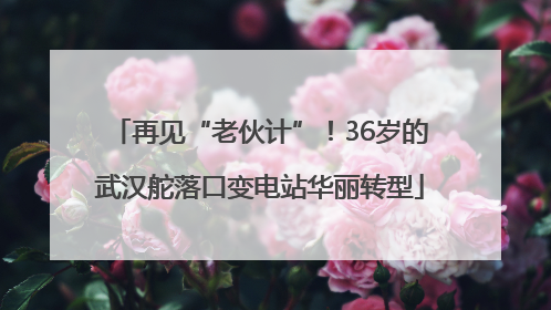 再见“老伙计”！36岁的武汉舵落口变电站华丽转型