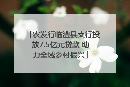农发行临澧县支行投放7.5亿元贷款 助力全域乡村振兴