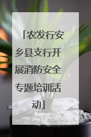 农发行安乡县支行开展消防安全专题培训活动