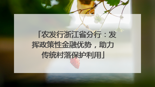 农发行浙江省分行：发挥政策性金融优势，助力传统村落保护利用