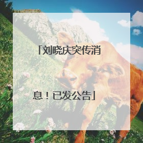 刘晓庆突传消息！已发公告