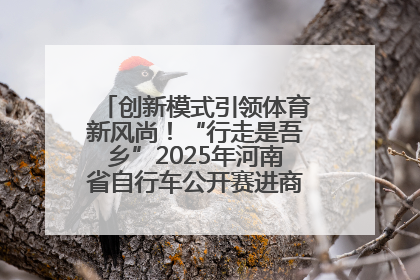 创新模式引领体育新风尚！“行走是吾乡”2025年河南省自行车公开赛进商圈系列赛落幕