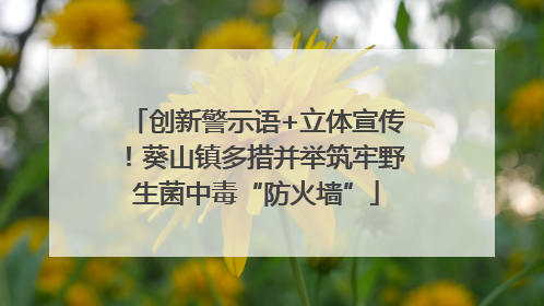 创新警示语+立体宣传！葵山镇多措并举筑牢野生菌中毒“防火墙”