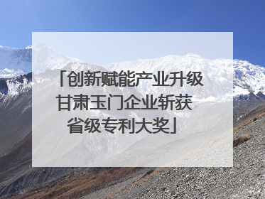 创新赋能产业升级 甘肃玉门企业斩获省级专利大奖