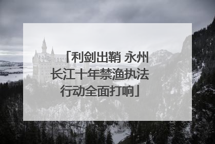 利剑出鞘 永州长江十年禁渔执法行动全面打响