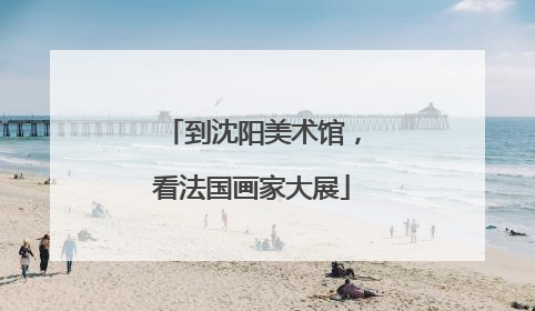 到沈阳美术馆，看法国画家大展