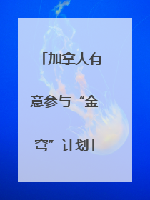 加拿大有意参与“金穹”计划