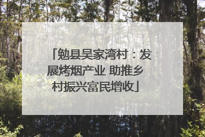 勉县吴家湾村：发展烤烟产业 助推乡村振兴富民增收