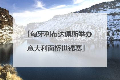匈牙利布达佩斯举办意大利面桥世锦赛