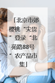 北京市郊樱桃“尖货”登录“北苑路88号”农产品市集