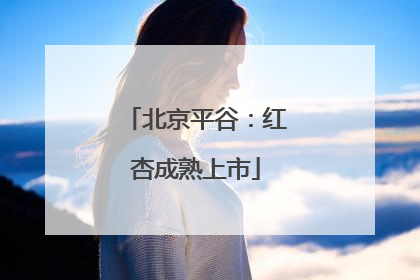 北京平谷：红杏成熟上市