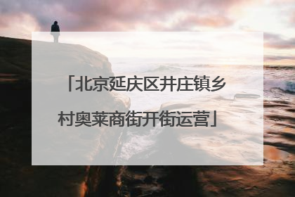 北京延庆区井庄镇乡村奥莱商街开街运营
