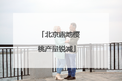 北京露地樱桃产量锐减