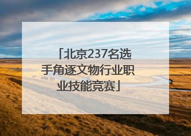 北京237名选手角逐文物行业职业技能竞赛