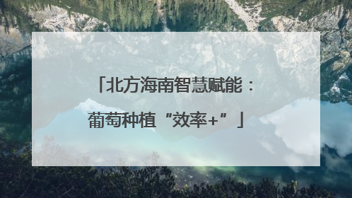 北方海南智慧赋能：葡萄种植“效率+”