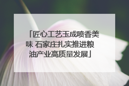 匠心工艺玉成喷香美味 石家庄扎实推进粮油产业高质量发展
