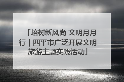 培树新风尚 文明月月行｜四平市广泛开展文明旅游主题实践活动