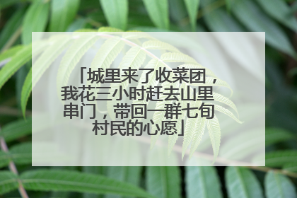 城里来了收菜团，我花三小时赶去山里串门，带回一群七旬村民的心愿