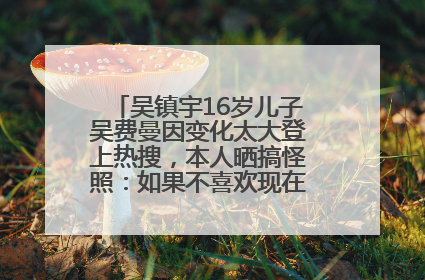 吴镇宇16岁儿子吴费曼因变化太大登上热搜，本人晒搞怪照：如果不喜欢现在的我可以离开
