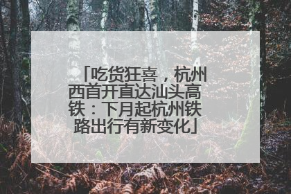 吃货狂喜，杭州西首开直达汕头高铁：下月起杭州铁路出行有新变化