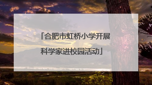 合肥市虹桥小学开展科学家进校园活动