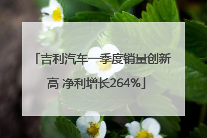 吉利汽车一季度销量创新高 净利增长264%