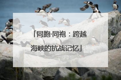 同胞·同袍：跨越海峡的抗战记忆