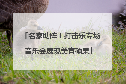 名家助阵！打击乐专场音乐会展现美育硕果
