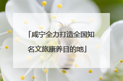 咸宁全力打造全国知名文旅康养目的地