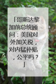 哥斯达黎加前总统顾问：美国对外加关税，对内猛补贴，公平吗？