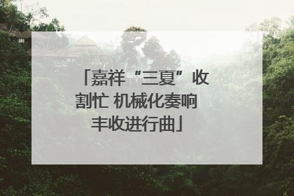 嘉祥“三夏”收割忙 机械化奏响丰收进行曲