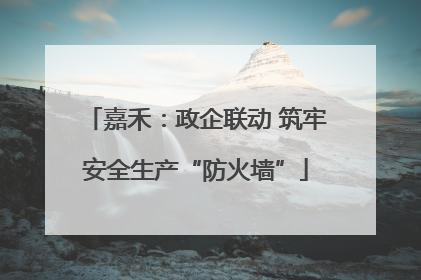 嘉禾：政企联动 筑牢安全生产“防火墙”