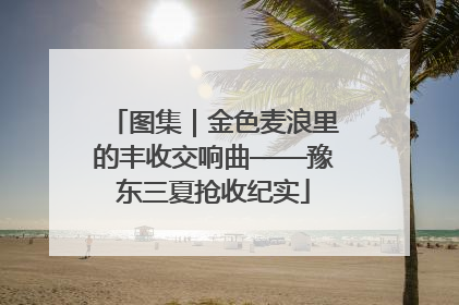 图集｜金色麦浪里的丰收交响曲——豫东三夏抢收纪实
