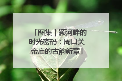 图集｜颍河畔的时光密码：周口关帝庙的古韵新章