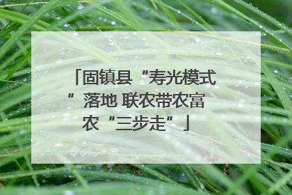 固镇县“寿光模式”落地 联农带农富农“三步走”