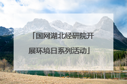 国网湖北经研院开展环境日系列活动