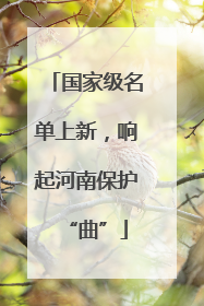 国家级名单上新，响起河南保护“曲”