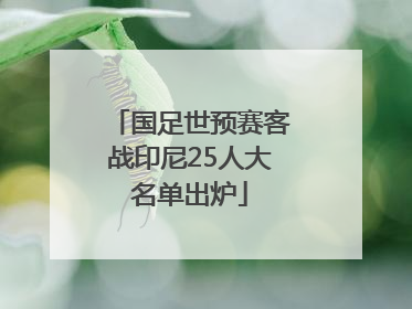国足世预赛客战印尼25人大名单出炉