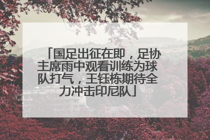 国足出征在即，足协主席雨中观看训练为球队打气，王钰栋期待全力冲击印尼队