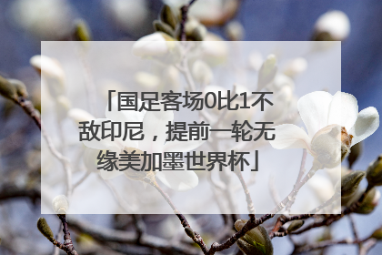 国足客场0比1不敌印尼，提前一轮无缘美加墨世界杯